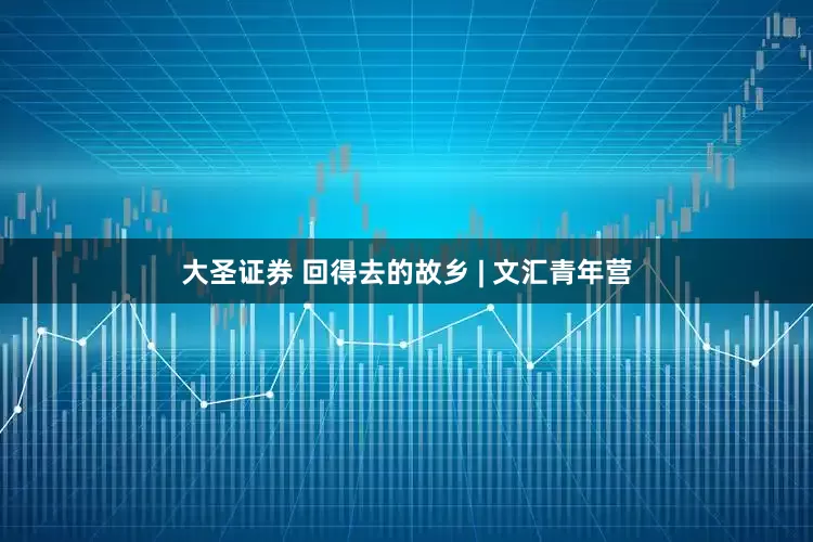 大圣证券 回得去的故乡 | 文汇青年营