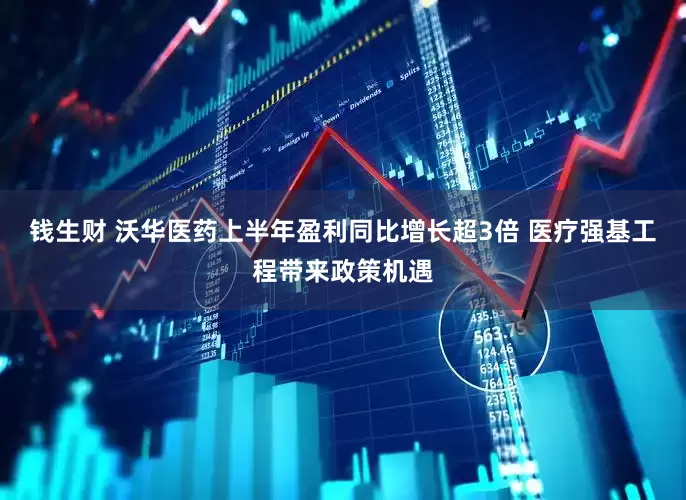 钱生财 沃华医药上半年盈利同比增长超3倍 医疗强基工程带来政策机遇