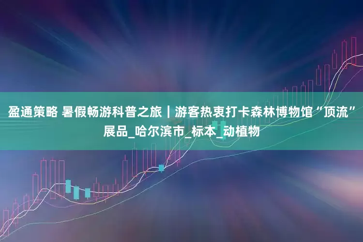 盈通策略 暑假畅游科普之旅｜游客热衷打卡森林博物馆“顶流”展品_哈尔滨市_标本_动植物