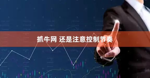 抓牛网 还是注意控制节奏