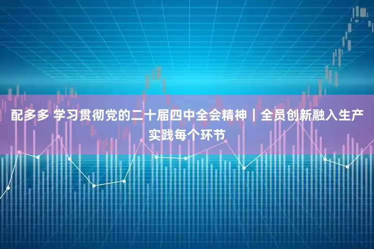配多多 学习贯彻党的二十届四中全会精神｜全员创新融入生产实践每个环节